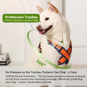 ColorPop Lightweight X Harness for Dogs – No-Choke Trachea Protection, Single or Leash Set Available Pet Park