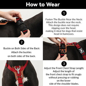 BOBO 3-in-1 Dog Leash, Harness, and Travel Bag Set - PetPark