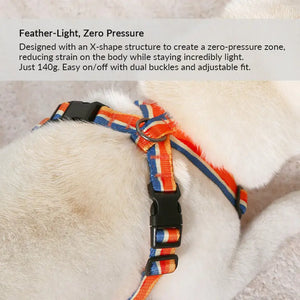 ColorPop Lightweight X Harness for Dogs – No-Choke Trachea Protection, Single or Leash Set Available Pet Park