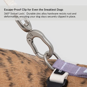 Valora Elastic Shock-Absorbing Pet Car Safety Belt - PetPark