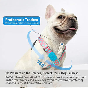 Colorful PRO Protective Trachea Dog X Harness - PetPark