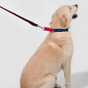 Rainbow Safety Dog Collar with Pull-Control and Choke Prevention - PetPark