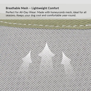 Valora 2-Second Easy-Fit Harness with Anti-Choke Position-Limit & Locator Pocket - PetPark