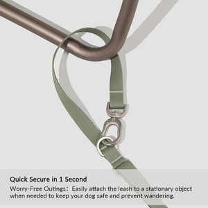 Valora Multi-Function Elastic Shock-Absorbing Leash | Choose from Leash, Dual-Leash Extender, or Crossbody Waist-Shoulder Strap - PetPark