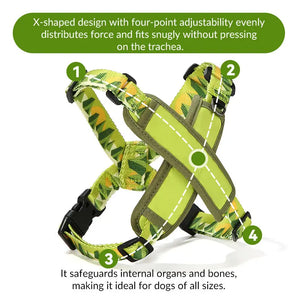 ColorPop Lightweight X Harness for Dogs – No-Choke Trachea Protection, Single or Leash Set Available Pet Park
