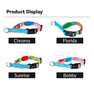 Colorful PRO Semi-P Martingale Dog Collar with Position-Limit Choke Prevention for Training and Everyday Use - PetPark