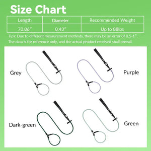 BOBO One-piece Leash With Leather Handle - PetPark