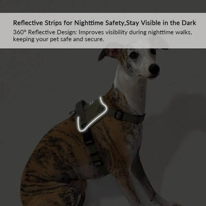 Valora 2-Second Easy-Fit Harness with Anti-Choke Position-Limit & Locator Pocket - PetPark