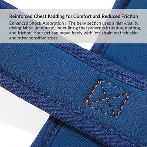 ColorPop Lightweight X Harness for Dogs – No-Choke Trachea Protection, Single or Leash Set Available Pet Park