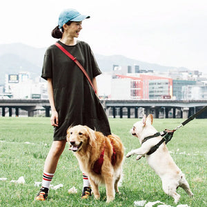 Crossbody dog leash in action with two dogs, bringing hands-free comfort and versatile control to park walks.