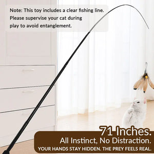 71-Inch Retractable Cat Teaser Wand with Insect-Shaped Feather Heads | Choose Wand + 3-Head Set or 3 Replacement Heads Only - PetPark