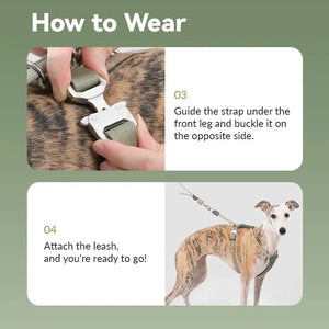 H-Style Leather & Round Rope Adjustable Dog Harness – Harness only or Harness & Leash Set Pet Park