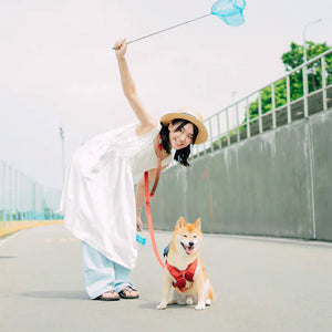Red crossbody dog leash paired with a matching harness for an easygoing, hands-free walk with a small dog.