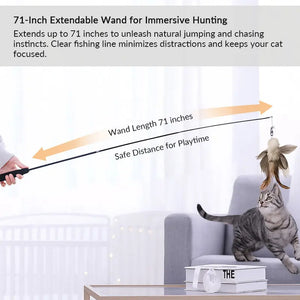 71-Inch Retractable Cat Teaser Wand with Insect-Shaped Feather Heads | Choose Wand + 3-Head Set or 3 Replacement Heads Only - PetPark