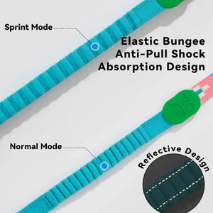 Colorful PRO 3 Way Buffer Traction Dog Leash - PetPark