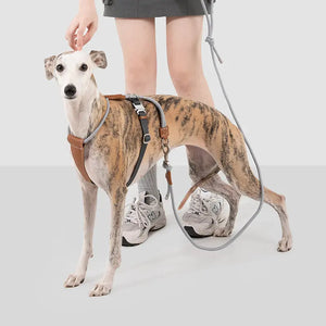 H-Style Leather & Round Rope Adjustable Dog Harness – Harness only or Harness & Leash Set Pet Park