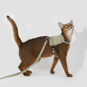 Valora Ultra-Lightweight Harness and Leash Set for Cats with Locator Pocket - PetPark