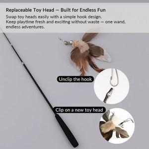 71-Inch Retractable Cat Teaser Wand with Insect-Shaped Feather Heads | Choose Wand + 3-Head Set or 3 Replacement Heads Only - PetPark