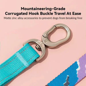 Colorful PRO 3 Way Buffer Traction Dog Leash - PetPark