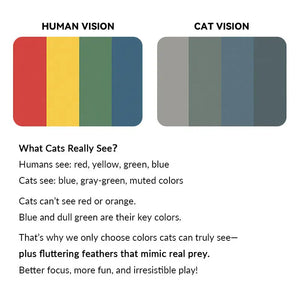 71-Inch Retractable Cat Teaser Wand with Insect-Shaped Feather Heads | Choose Wand + 3-Head Set or 3 Replacement Heads Only - PetPark