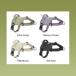 Valora 2-Second Easy-Fit Harness with Anti-Choke Position-Limit & Locator Pocket - PetPark