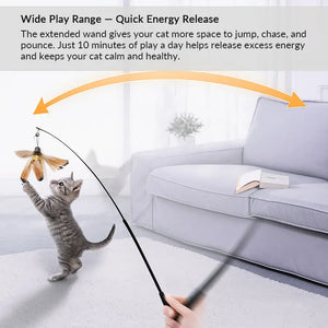 71-Inch Retractable Cat Teaser Wand with Insect-Shaped Feather Heads | Choose Wand + 3-Head Set or 3 Replacement Heads Only - PetPark