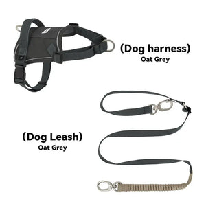 Valora Multi-Function Elastic Shock-Absorbing Leash | Choose from Leash, Dual-Leash Extender, or Crossbody Waist-Shoulder Strap PetPark