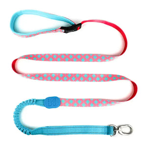 Colorful PRO 3-Way Shock-Absorbing Traction Dog Leash – Single or Set with Protective Trachea X Harness - PetPark