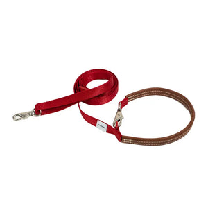 Crossbody dog leash in red with a genuine leather handle and adjustable nylon strap for hands-free daily walks.