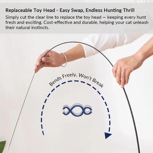 71-Inch Retractable Cat Teaser Wand with Insect-Shaped Feather Heads | Choose Wand + 3-Head Set or 3 Replacement Heads Only - PetPark