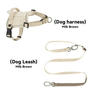 Valora Multi-Function Elastic Shock-Absorbing Leash | Choose from Leash, Dual-Leash Extender, or Crossbody Waist-Shoulder Strap PetPark