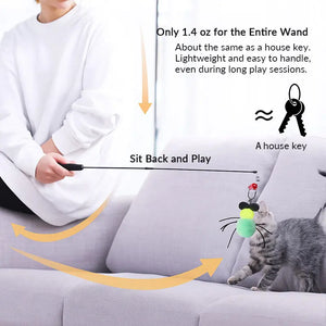 71-Inch Retractable Cat Teaser Wand with Insect-Shaped Feather Heads | Choose Wand + 3-Head Set or 3 Replacement Heads Only - PetPark