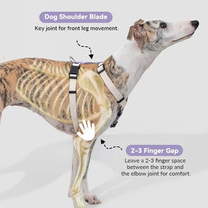 Valora Ultra-Lightweight H-Shaped Escape-Proof Dog Harness and Leash Set - PetPark