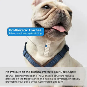 BOBO X-shaped Harness for Trachea Protection - PetPark