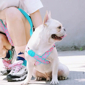 Colorful PRO Protective Trachea Dog X Harness - PetPark