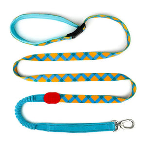 Colorful PRO 3-Way Shock-Absorbing Traction Dog Leash – Single or Set with Protective Trachea X Harness - PetPark