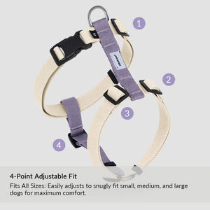 Valora Ultra-Lightweight H-Shaped Escape-Proof Dog Harness and Leash Set - PetPark