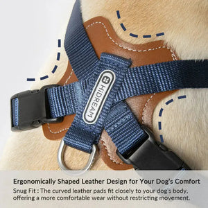BOBO X-shaped Harness for Trachea Protection - PetPark