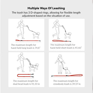 Rainbow Multi-function Single-end & Double-end Dog Leash - PetPark