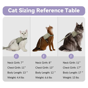 Valora Dual-Buckle Ultra-Lightweight H-Shaped Cat Harness and Leash Set - PetPark