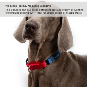 Rainbow Safety Dog Collar with Pull-Control and Choke Prevention - PetPark