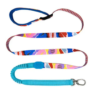 Colorful PRO 3-Way Shock-Absorbing Traction Dog Leash – Single or Set with Protective Trachea X Harness - PetPark