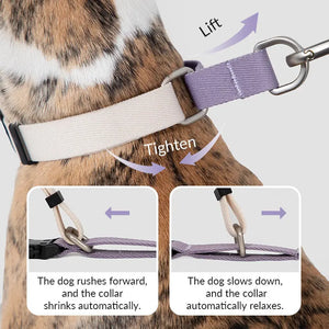 Valora Anti-Pull Semi-P Martingale Dog Collar with Position-Limit Choke Prevention - PetPark
