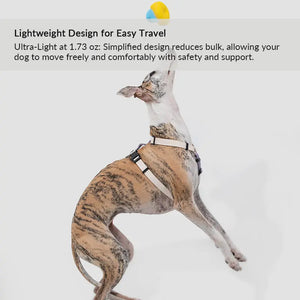 Valora Ultra-Lightweight H-Shaped Escape-Proof Dog Harness and Leash Set - PetPark