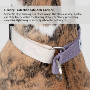 Valora Anti-Pull Semi-P Martingale Dog Collar with Position-Limit Choke Prevention - PetPark