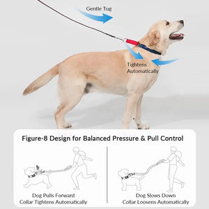 Rainbow Safety Dog Collar with Pull-Control and Choke Prevention - PetPark