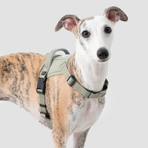 Valora 2-Second Easy-Fit Harness with Anti-Choke Position-Limit & Locator Pocket - PetPark