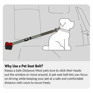 Valora Elastic Shock-Absorbing Pet Car Safety Belt - PetPark