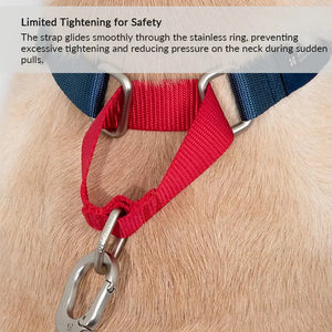 Rainbow Safety Dog Collar with Pull-Control and Choke Prevention - PetPark