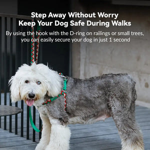 Rainbow Multi-function Single-end & Double-end Dog Leash - PetPark